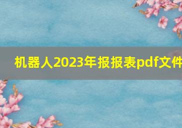 机器人2023年报报表pdf文件