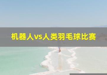 机器人vs人类羽毛球比赛