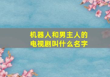 机器人和男主人的电视剧叫什么名字