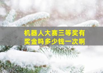 机器人大赛三等奖有奖金吗多少钱一次啊