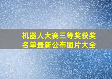 机器人大赛三等奖获奖名单最新公布图片大全