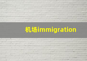 机场immigration