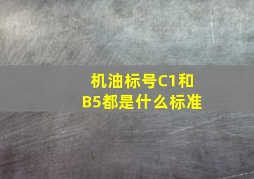 机油标号C1和B5都是什么标准