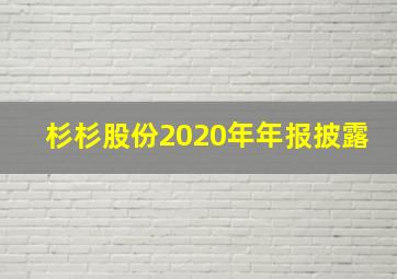 杉杉股份2020年年报披露