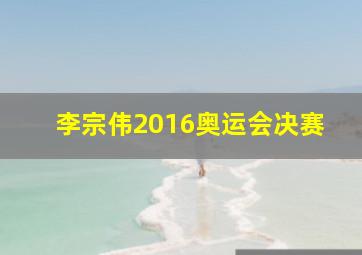 李宗伟2016奥运会决赛