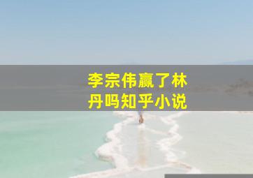 李宗伟赢了林丹吗知乎小说