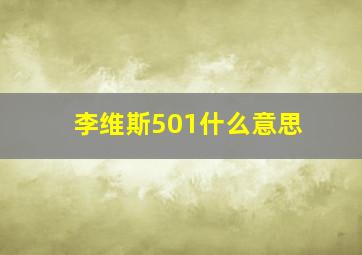 李维斯501什么意思