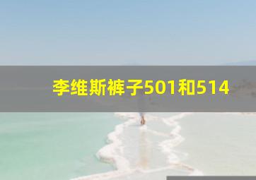 李维斯裤子501和514