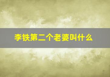 李铁第二个老婆叫什么