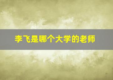 李飞是哪个大学的老师