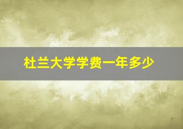 杜兰大学学费一年多少