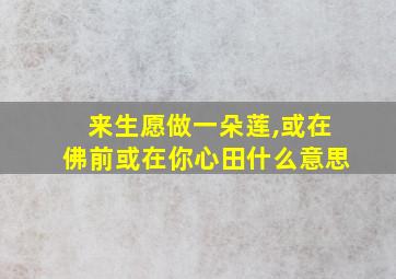 来生愿做一朵莲,或在佛前或在你心田什么意思