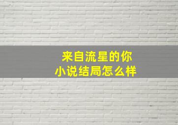 来自流星的你小说结局怎么样