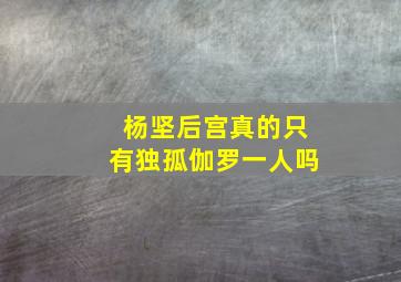 杨坚后宫真的只有独孤伽罗一人吗