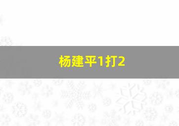 杨建平1打2