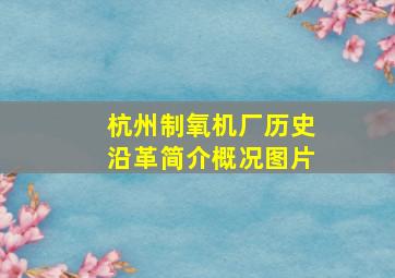 杭州制氧机厂历史沿革简介概况图片