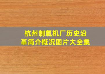 杭州制氧机厂历史沿革简介概况图片大全集