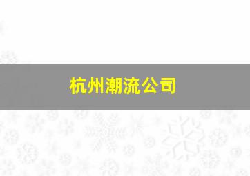 杭州潮流公司