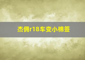 杰佣r18车变小棉签