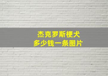 杰克罗斯梗犬多少钱一条图片