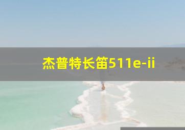 杰普特长笛511e-ii