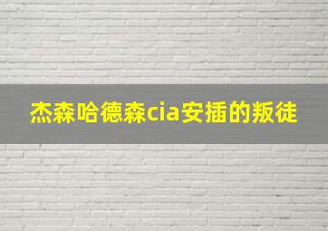 杰森哈德森cia安插的叛徒