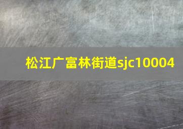 松江广富林街道sjc10004