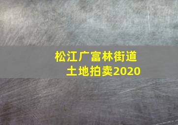 松江广富林街道土地拍卖2020