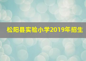 松阳县实验小学2019年招生