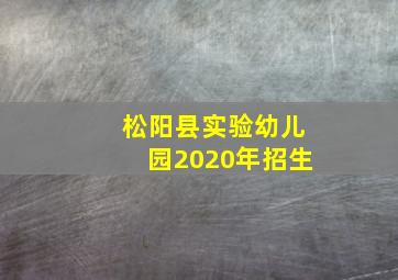 松阳县实验幼儿园2020年招生