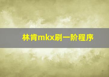 林肯mkx刷一阶程序