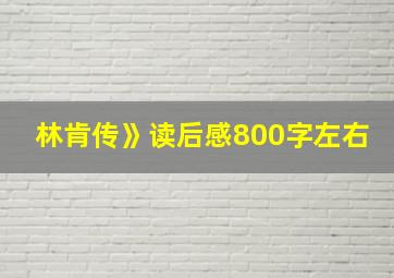 林肯传》读后感800字左右