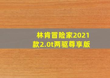 林肯冒险家2021款2.0t两驱尊享版