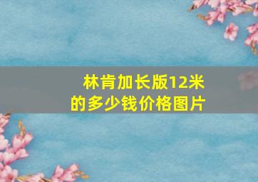 林肯加长版12米的多少钱价格图片