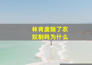 林肯废除了农奴制吗为什么