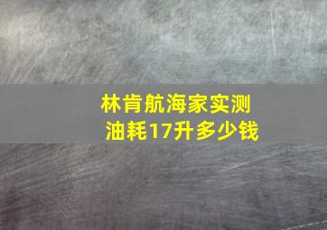 林肯航海家实测油耗17升多少钱