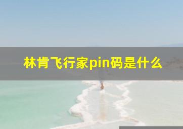 林肯飞行家pin码是什么