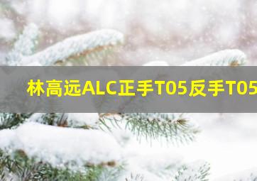 林高远ALC正手T05反手T05FX