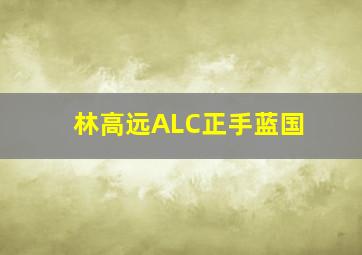 林高远ALC正手蓝国