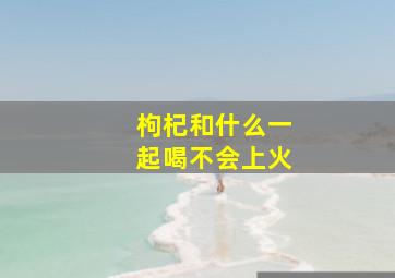 枸杞和什么一起喝不会上火