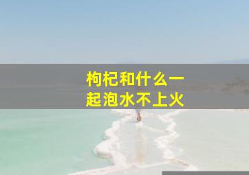 枸杞和什么一起泡水不上火