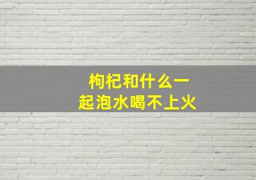 枸杞和什么一起泡水喝不上火