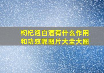 枸杞泡白酒有什么作用和功效呢图片大全大图