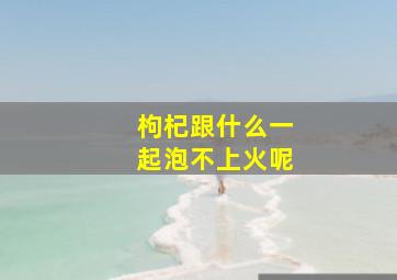 枸杞跟什么一起泡不上火呢