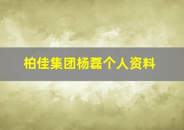 柏佳集团杨磊个人资料