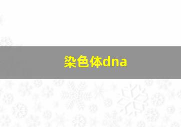 染色体dna