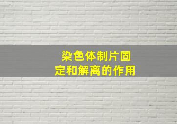 染色体制片固定和解离的作用