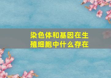 染色体和基因在生殖细胞中什么存在