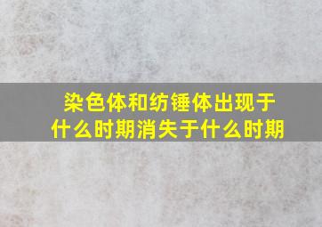 染色体和纺锤体出现于什么时期消失于什么时期