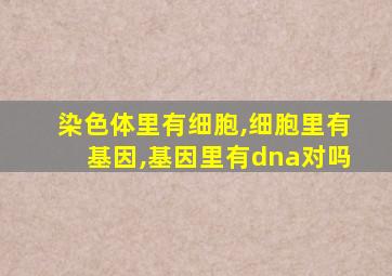 染色体里有细胞,细胞里有基因,基因里有dna对吗